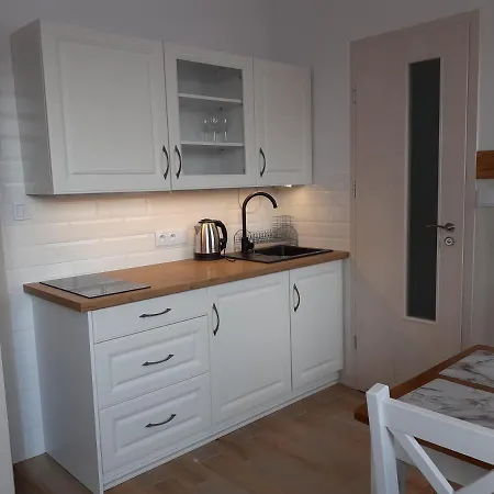 Apartamenty nad Jeziorem Miedzybrodzie Zywieckie Zewnętrze zdjęcie