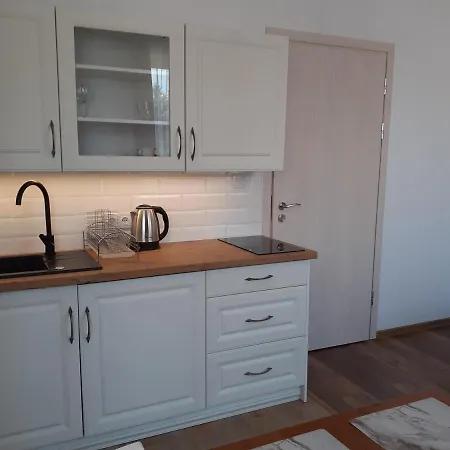 Apartamenty nad Jeziorem Miedzybrodzie Zywieckie Zewnętrze zdjęcie