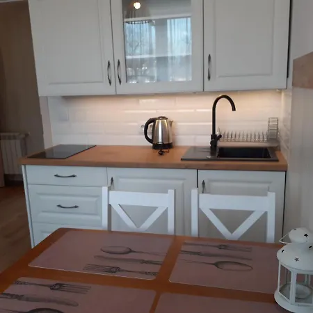 Apartamenty nad Jeziorem Miedzybrodzie Zywieckie Zewnętrze zdjęcie