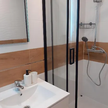 Apartamenty nad Jeziorem Miedzybrodzie Zywieckie Zewnętrze zdjęcie