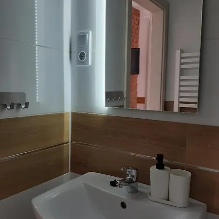 Apartamenty nad Jeziorem Miedzybrodzie Zywieckie Zewnętrze zdjęcie