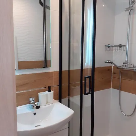 Apartamenty nad Jeziorem Miedzybrodzie Zywieckie Zewnętrze zdjęcie