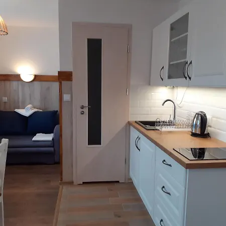 Apartamenty nad Jeziorem Miedzybrodzie Zywieckie Zewnętrze zdjęcie