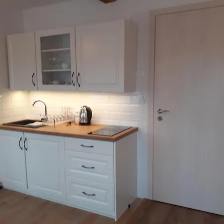 Apartamenty nad Jeziorem Miedzybrodzie Zywieckie Zewnętrze zdjęcie