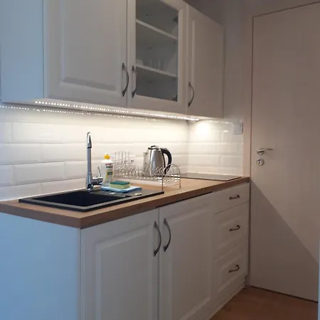 Apartamenty nad Jeziorem Miedzybrodzie Zywieckie Zewnętrze zdjęcie