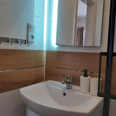 Apartamenty nad Jeziorem Miedzybrodzie Zywieckie Zewnętrze zdjęcie