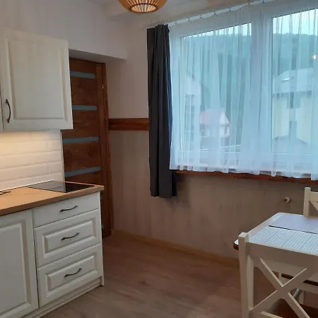 Apartamenty nad Jeziorem Miedzybrodzie Zywieckie Zewnętrze zdjęcie