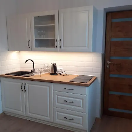 Apartamenty nad Jeziorem Miedzybrodzie Zywieckie Zewnętrze zdjęcie