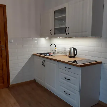 Apartamenty nad Jeziorem Miedzybrodzie Zywieckie Zewnętrze zdjęcie