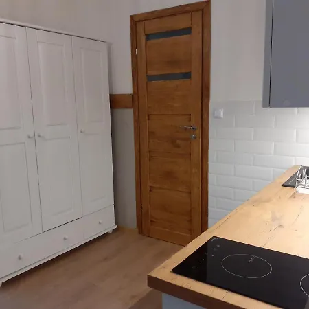 Apartamenty nad Jeziorem Miedzybrodzie Zywieckie Zewnętrze zdjęcie