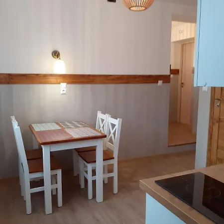 Apartamenty nad Jeziorem Miedzybrodzie Zywieckie Zewnętrze zdjęcie