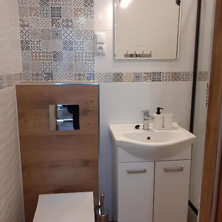 Apartamenty nad Jeziorem Miedzybrodzie Zywieckie Zewnętrze zdjęcie