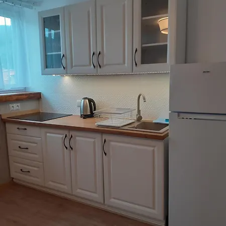 Apartamenty nad Jeziorem Miedzybrodzie Zywieckie Zewnętrze zdjęcie