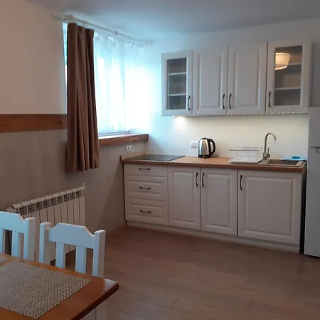 Apartamenty nad Jeziorem Miedzybrodzie Zywieckie Zewnętrze zdjęcie