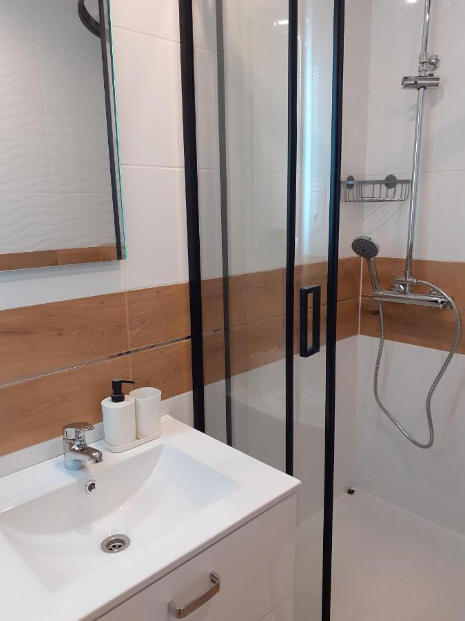Nad Jeziorem Apartment Miedzybrodzie Zywieckie